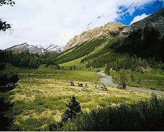 《女神异闻录5》剧情简介 《P5T》11月17日发售