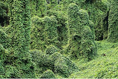 《仁王3》全新预告 2026年2月6日发售